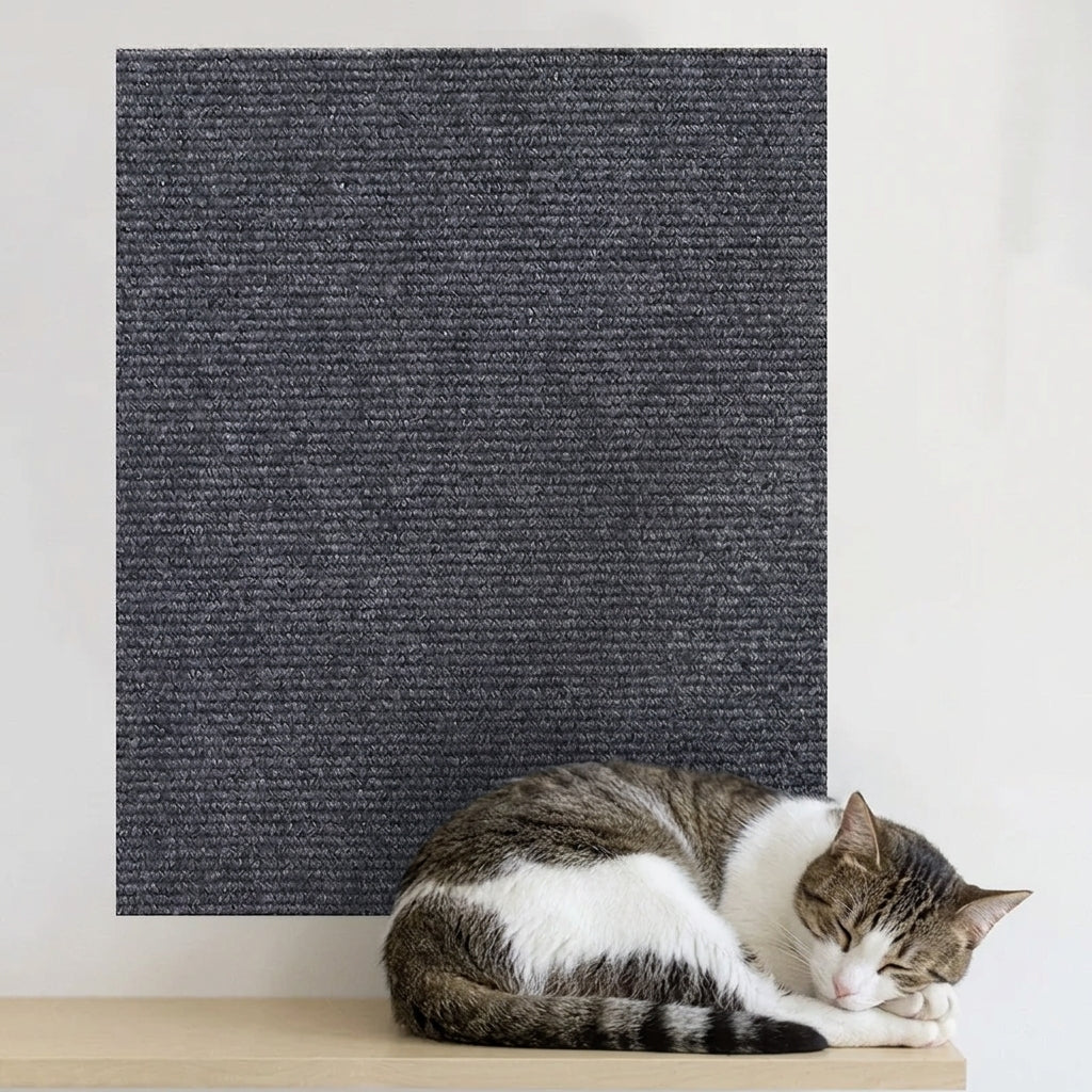 TAPPETO TIRAGRAFFI AUTOADESIVO – Perchè il gatto graffia dove cazzo gli pare