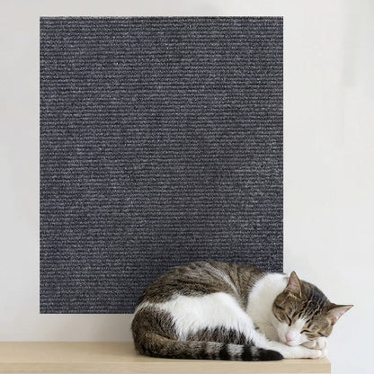 TAPPETO TIRAGRAFFI AUTOADESIVO – Perchè il gatto graffia dove cazzo gli pare