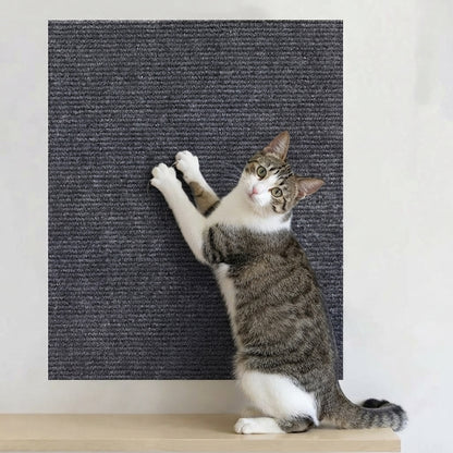 TAPPETO TIRAGRAFFI AUTOADESIVO – Perchè il gatto graffia dove cazzo gli pare