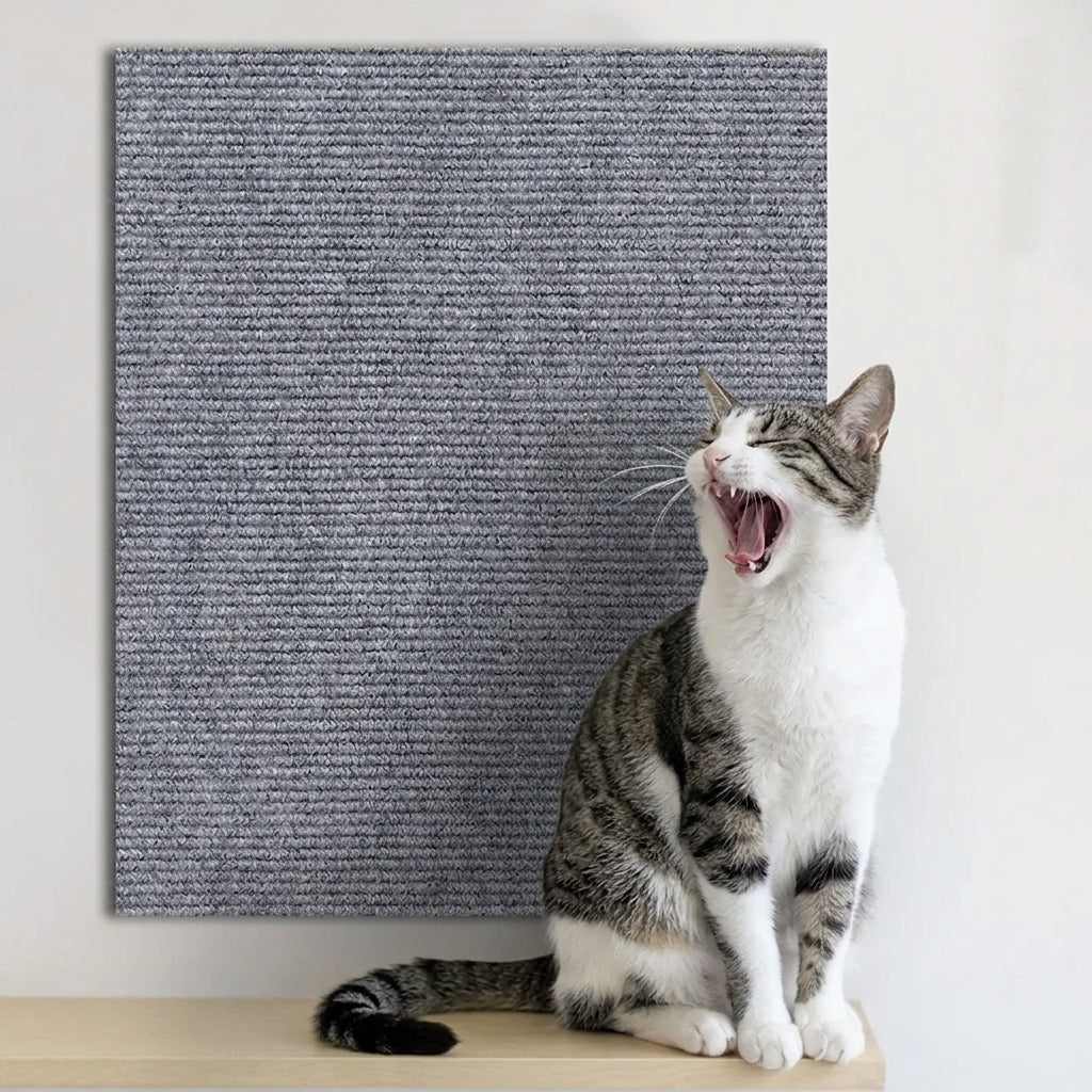 TAPPETO TIRAGRAFFI AUTOADESIVO – Perchè il gatto graffia dove cazzo gli pare