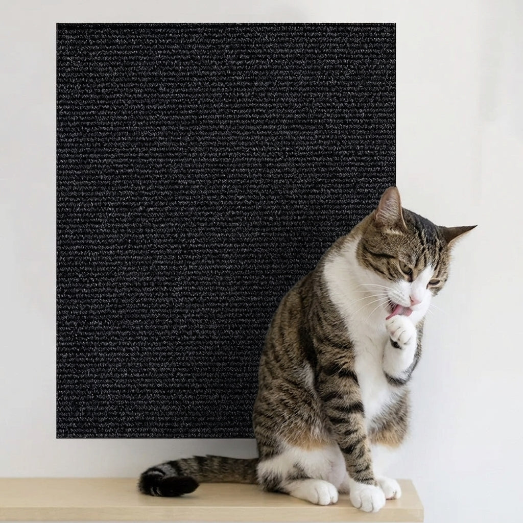 TAPPETO TIRAGRAFFI AUTOADESIVO – Perchè il gatto graffia dove cazzo gli pare