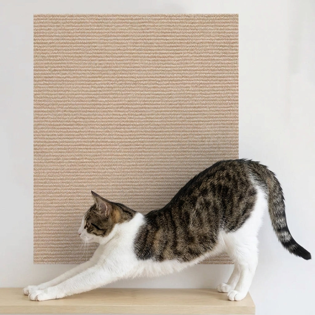 TAPPETO TIRAGRAFFI AUTOADESIVO – Perchè il gatto graffia dove cazzo gli pare